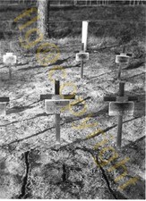 PHOTO  CIMETIERE  ALLEMAND  MONT  SUR  HUISNES  NORMANDIE 