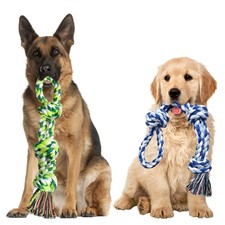Lot de 2 jouets pour chien