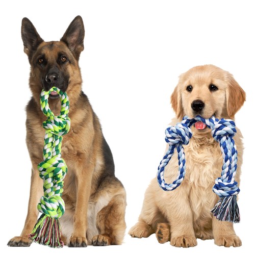 Lot jouets pour chien - pour,