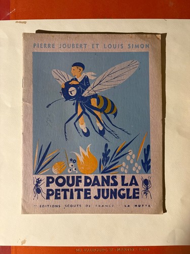 Pierre joubert scoutisme - scoutisme,