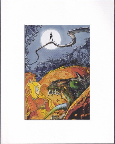 8x10 matted print picture - 8x10,