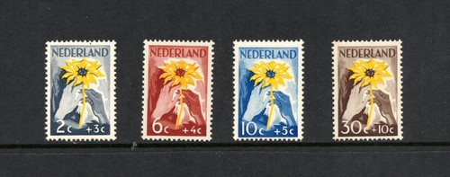 S4158 pays bas 1949 flore - pays-bas,