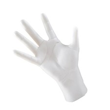 Présentoir de  de Main