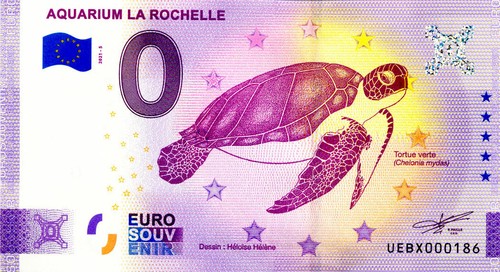 Rochelle tortue verte - 17,
