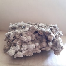 Gogotte originale France 12