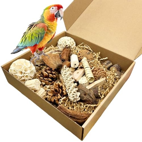Jouet pour oiseaux - ,, perroquet