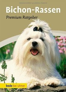 Bichon rassen malteser - bichon-rassen:,