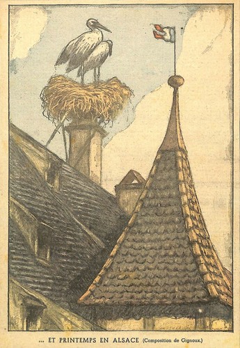 Cigognes sur toits alsace - toits, en