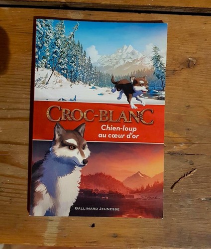 Livre croc blanc - livre,