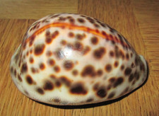 tabatière, boite à bijoux