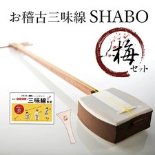 Shabo Practice Shamisen Ume
