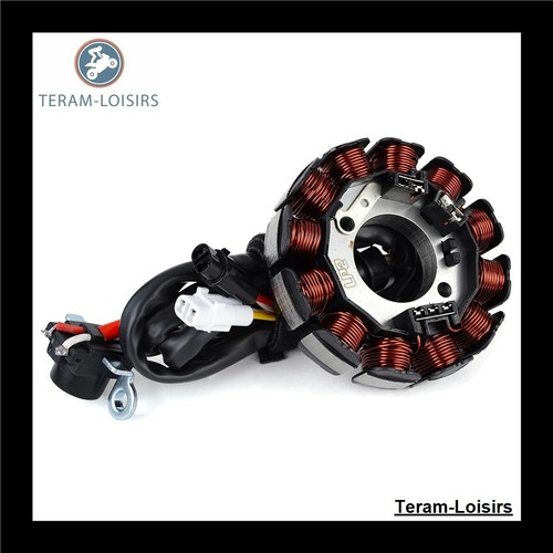 Stator allumage pour - stator, gas
