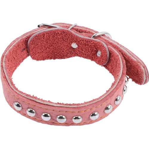 Collerette chien souple - collerette,