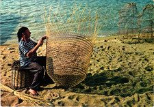 CORSE CORSICA - Dressage d'une