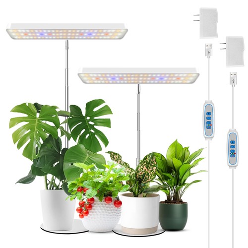 Plant grow light - plant,