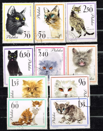 Poland fauna cats set 1963 - fauna,
