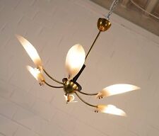 magnifique plafonnier