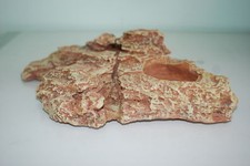 Vivarium large lézarder - vivarium,
