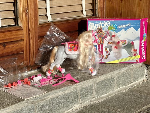 Barbie blizzard ski fun - barbie,