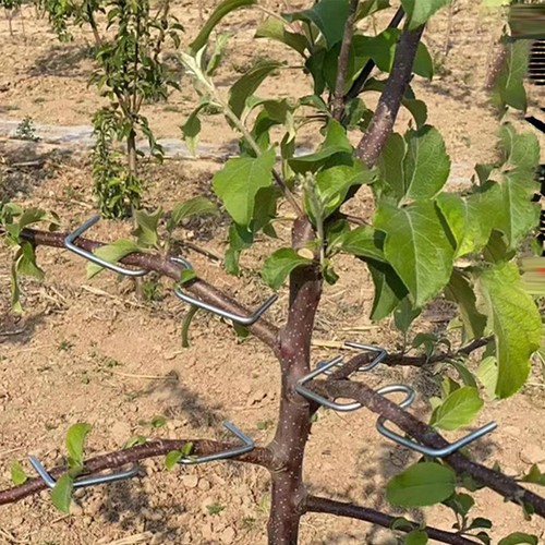 10 Arrache-branches pour