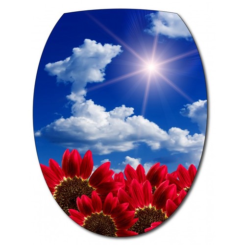 Sticker abattant ciel - abattant, de