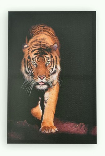 Cadre toile tableau tigre - toile,