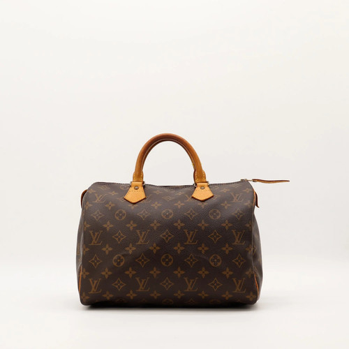 Sac main louis vuitton - main,