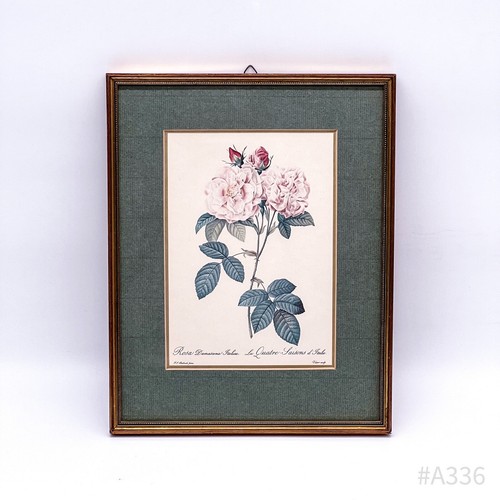 Vintage pierre joseph redoute - pierre-joseph,