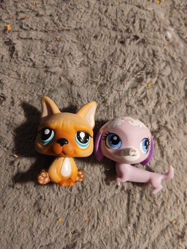 Lot littlest pet - lot, shop