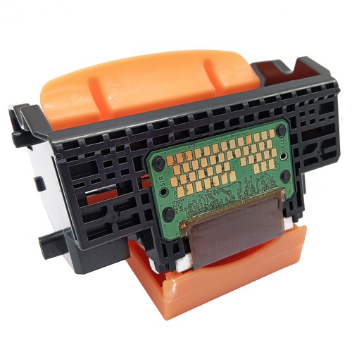 Qy6 0073 tête - qy6-0073,