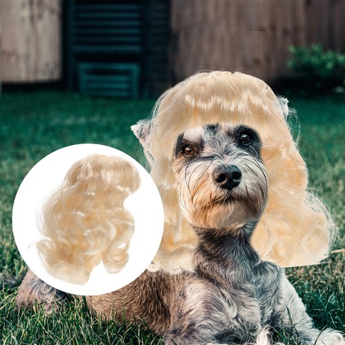 Perruques pour chiens costumes - chiens,