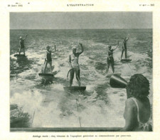 Document ancien attelage marin