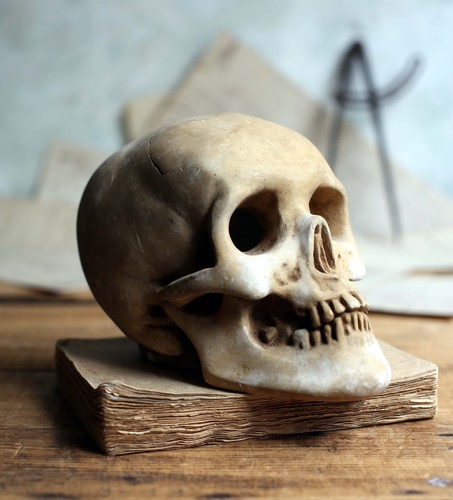 Antique french skull - skull, human