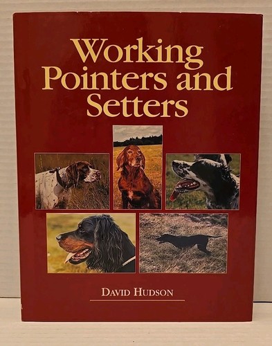 Working pointers setters - working,