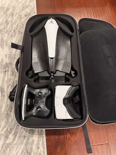Two parrot disco - parrot,