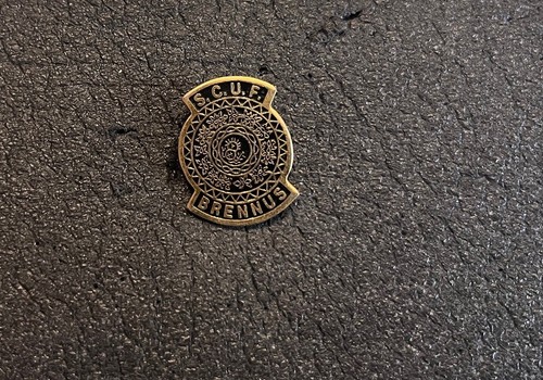 Pin collector rare - collector,