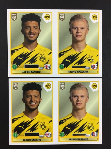 Erling haaland sancho rookie - erling,