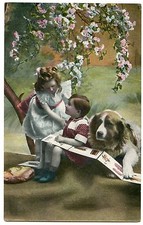 Chien saint bernard dog - ,