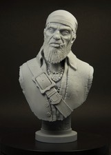 Buste en RÉSINE. Pirate SCARBEARD. Échelle 1/6. Imprimé en 3D. Prêt à...