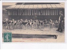 BEAUMONT-le-ROGER: chasse saint-hubert, la meute avant la soupe - très bon é