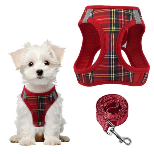 Step harnais pour chien - step-in,