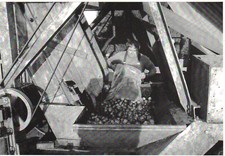 CPM 56 - ST YVES-BUBRY (Morbihan) - Presse à cidre Guyonvarch. Chargement cuve