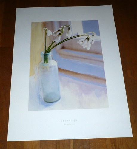 Poster affiche snowdrops - affiche,
