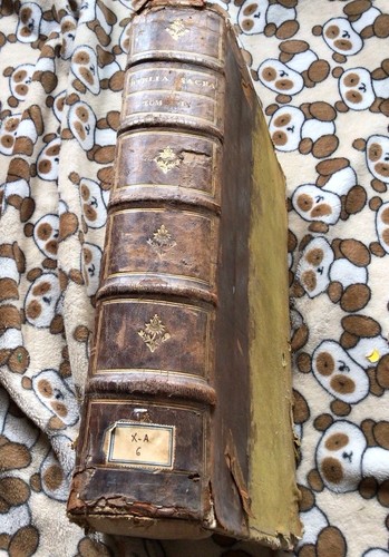 Biblia sacra cum glossa - sacra,