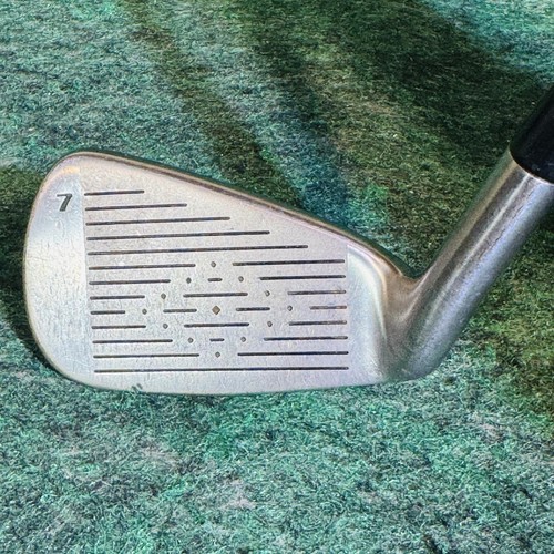 Golden bear accuforce 7 - bear, ii