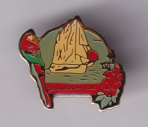 Rare pins pin tourisme - pin's, ..