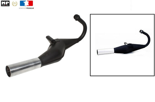 Pot échappement type cobra - type,