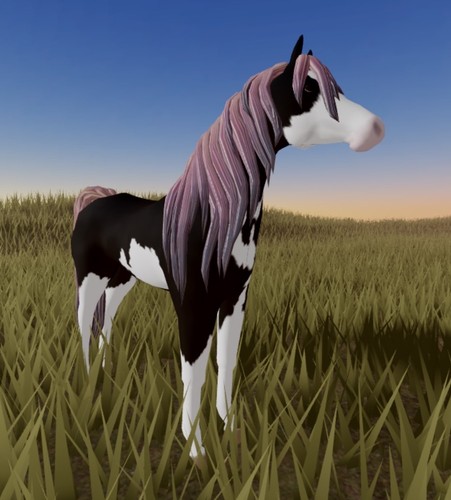 Wild horse islands - , 🌸