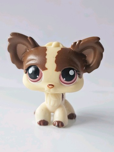 Lps pet shop chien papillon - shop,