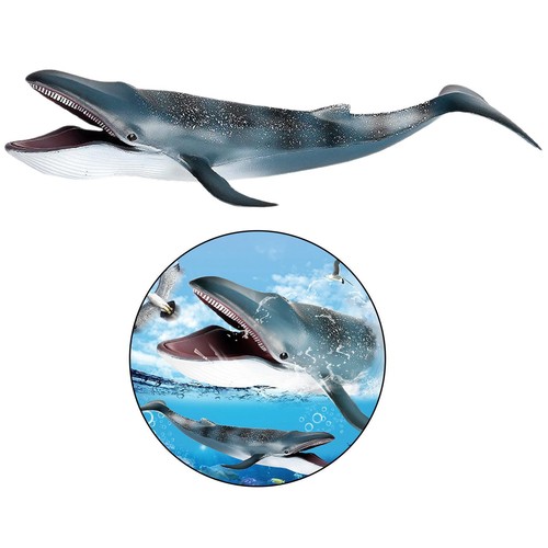 Figurines action baleine - d'action,
